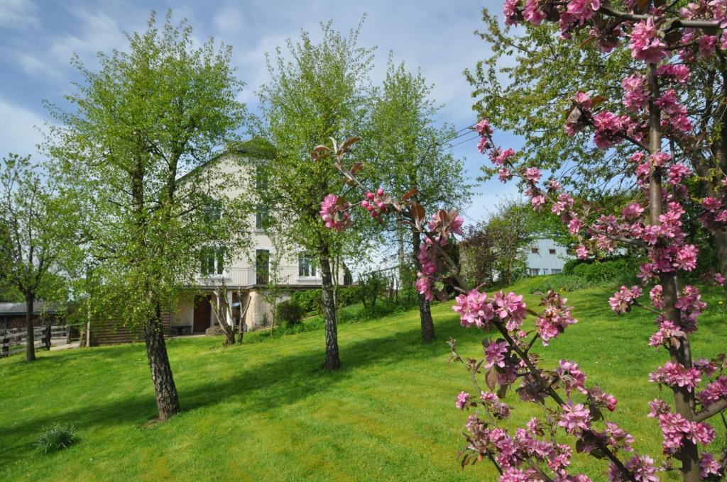 Louftémont B&B Le Verger Du Pierroy المظهر الخارجي الصورة